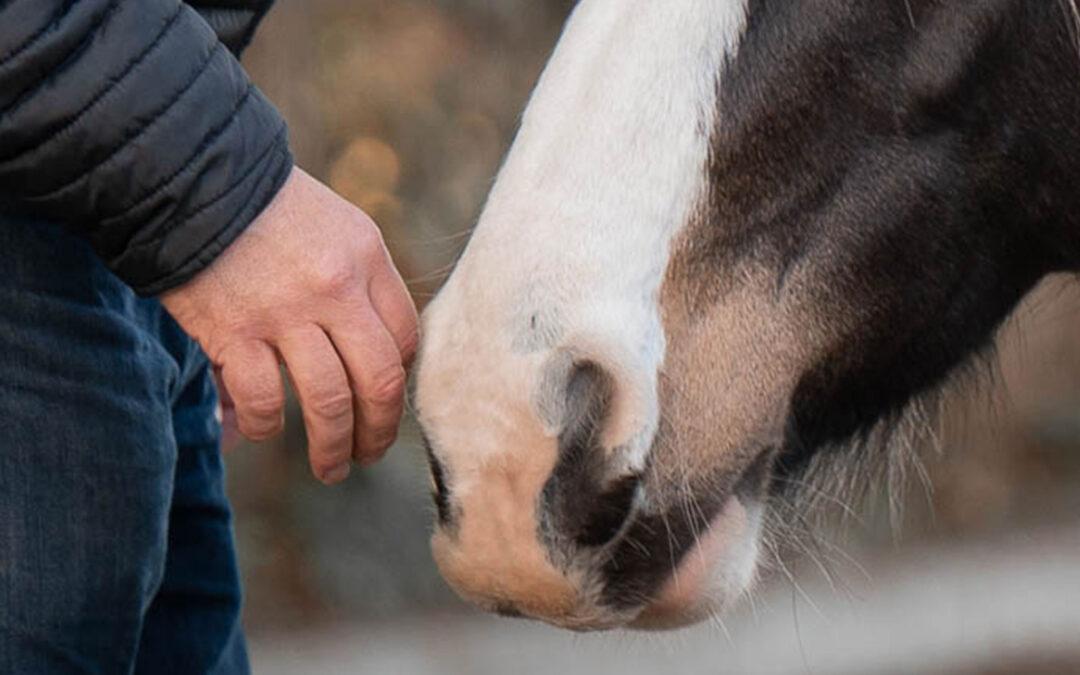 Wat je lichaam je vertelt