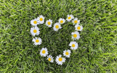 Moederdag, gedenkdag